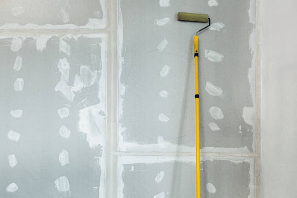 Best Environmental Consulting for Mold Prevention  in Brentwood, TN