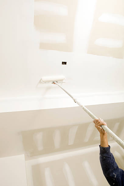 Best Attic Mold Removal  in Brentwood, TN