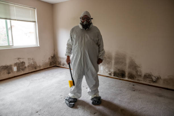 Best Post-Construction Mold Inspection  in Brentwood, TN