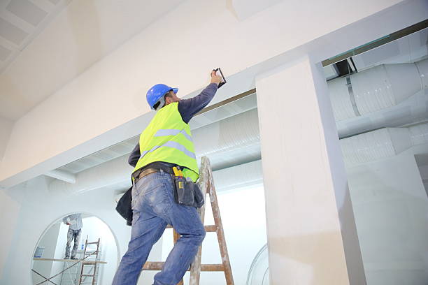 Best Mold Odor Removal Services  in Brentwood, TN