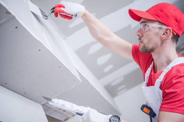 Mold Documentation for Insurance Claims in Brentwood, TN